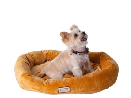 Armarkat Bolstered Pet Bed and Mat, ultra-soft Dog Bed S M L Fashion