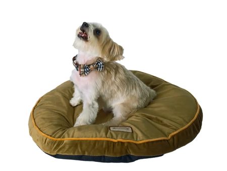 Armarkat Pet Bed Pad, Poly Fill Dog Cushion Bed M04 Supply