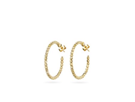 18k Yellow Gold 25mm Classic Moon Bead Hoop Earrings Online Hot Sale