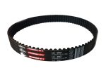 Gates GT4 Primary Belt Ultra Bee Fashion